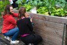 Zwei Personen schrauben ein Schild an das Hochbeet