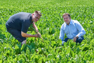 Johannes Binger und Erhard Würth in Zuckerrübenfeld